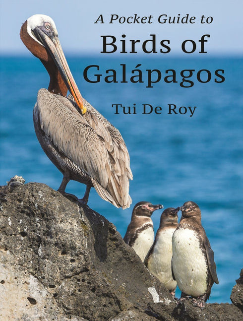 A Pocket Guide to Birds of Galapagos - De Roy 2022