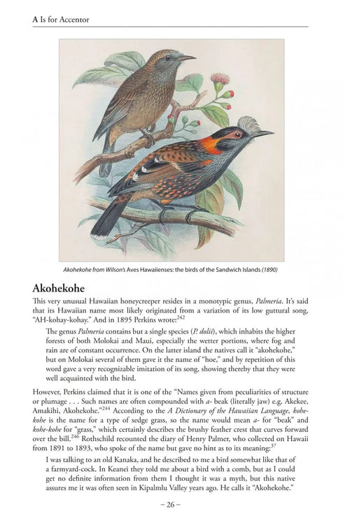 Bird Name Book - Susan Myers 2022