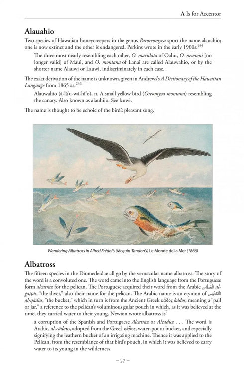 Bird Name Book - Susan Myers 2022