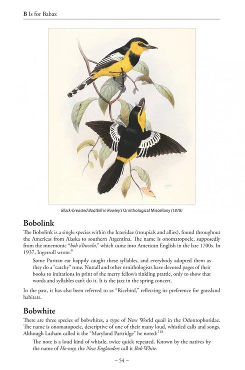 Bird Name Book - Susan Myers 2022