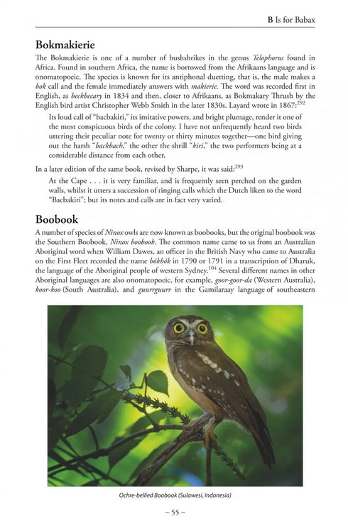 Bird Name Book - Susan Myers 2022