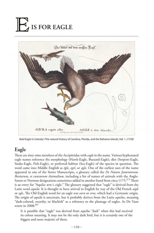 Bird Name Book - Susan Myers 2022