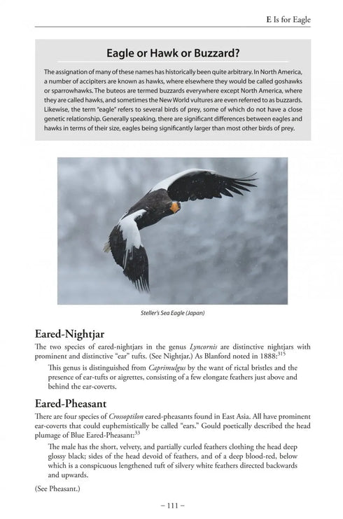 Bird Name Book - Susan Myers 2022