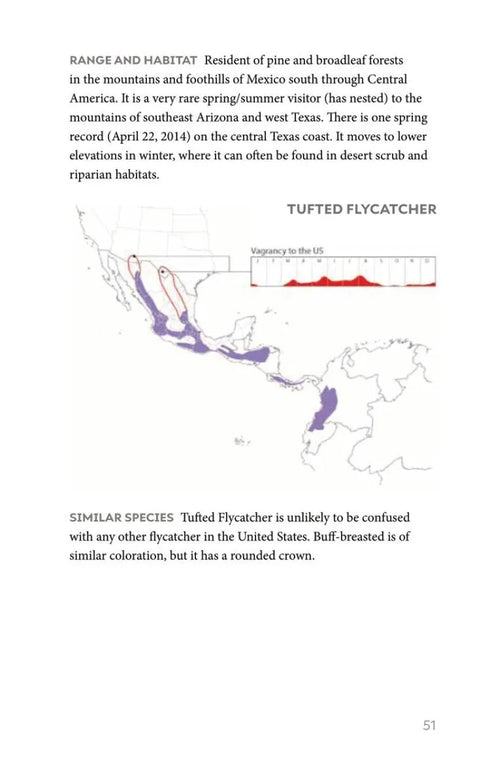 Field Guide to North American Flycatchers- Empidonax and Pewees - Cin-Ty Lee 2023