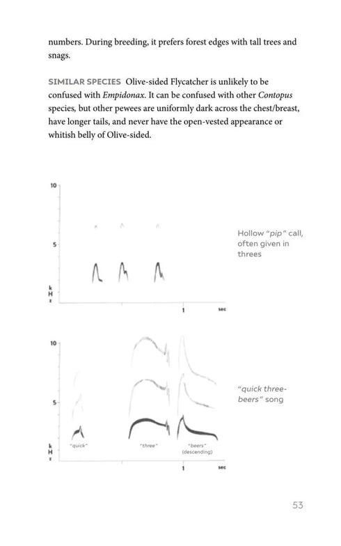 Field Guide to North American Flycatchers- Empidonax and Pewees - Cin-Ty Lee 2023