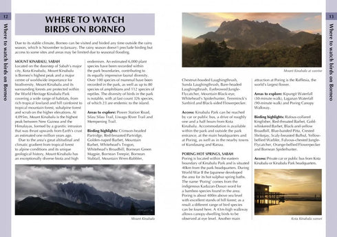 A Photographic Guide to Birds of Borneo - Myers 2023