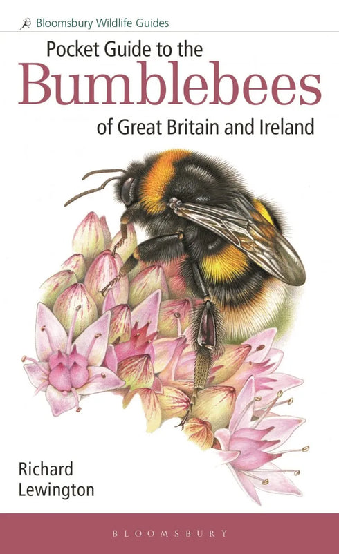 Pocket Guide to the Bumblebees of Great Britain and Ireland - Richard Lewington 2023