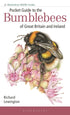 Pocket Guide to the Bumblebees of Great Britain and Ireland - Richard Lewington 2023