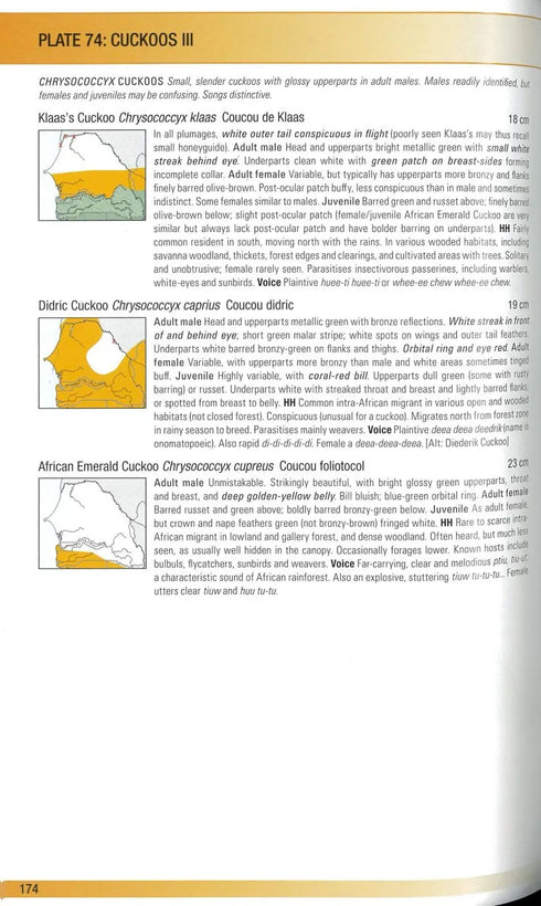 Birds of Senegal and Gambia, second edition - Borrow, N. 2023