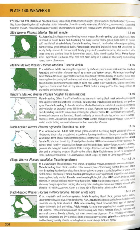Birds of Senegal and Gambia, second edition - Borrow, N. 2023