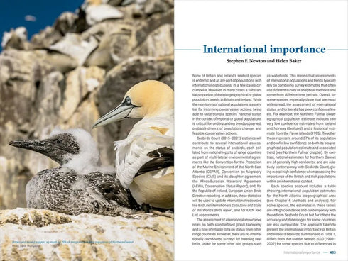 Seabirds Count - A census of breeding seabirds in Britain and Ireland (2015-2021) (Burnell)