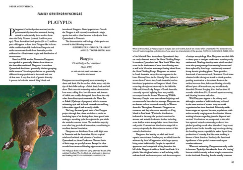 Mammals of Australia , 4th ed. - Andrew M. Baker 2023