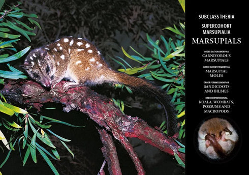 Mammals of Australia , 4th ed. - Andrew M. Baker 2023