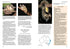 Mammals of Australia , 4th ed. - Andrew M. Baker 2023