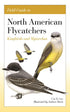 Field Guide to North American Flycatchers: Kingbirds and Myiarchus - Cin-Ty Lee 2024
