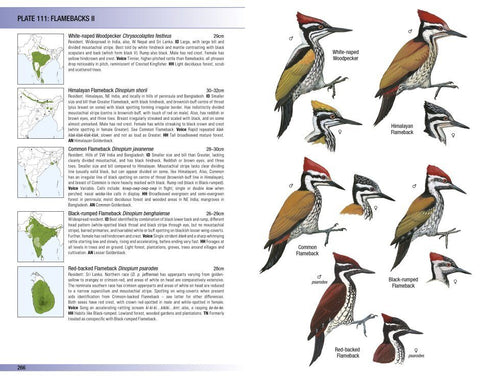 Field Guide to Birds of the Indian Subcontinent - Grimmett etc. 2026