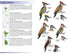 Field Guide to Birds of the Indian Subcontinent - Grimmett etc. 2026