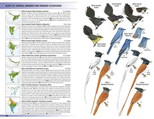 Field Guide to Birds of the Indian Subcontinent - Grimmett etc. 2026