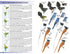 Field Guide to Birds of the Indian Subcontinent - Grimmett etc. 2026