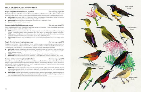 Sunbirds of the World, Sunbirds, Flowerpeckers, Spiderhunters and Sugarbirds 2.ed – Cheke, R. 2025