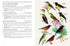 Sunbirds of the World, Sunbirds, Flowerpeckers, Spiderhunters and Sugarbirds 2.ed – Cheke, R. 2025