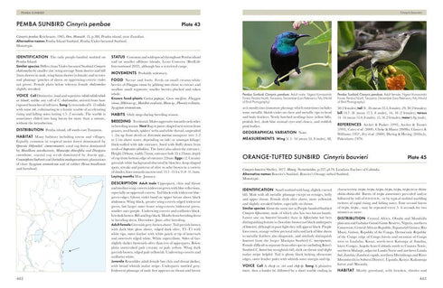 Sunbirds of the World, Sunbirds, Flowerpeckers, Spiderhunters and Sugarbirds 2.ed – Cheke, R. 2025