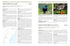 Sunbirds of the World, Sunbirds, Flowerpeckers, Spiderhunters and Sugarbirds 2.ed – Cheke, R. 2025