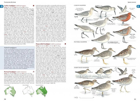 Australian Bird Guide, revised edition (Helm Field Guides) Flexi - Menkhorst, P. ym. 2024