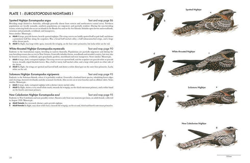 Nightjars of the World - Nigel Cleere 2026
