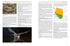 Nightjars of the World - Nigel Cleere 2026