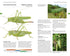 Field Guide to the Grasshoppers and Allies of Great Britain and Ireland - Sutton etc. 2026