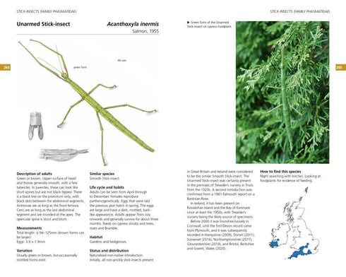Field Guide to the Grasshoppers and Allies of Great Britain and Ireland - Sutton etc. 2026