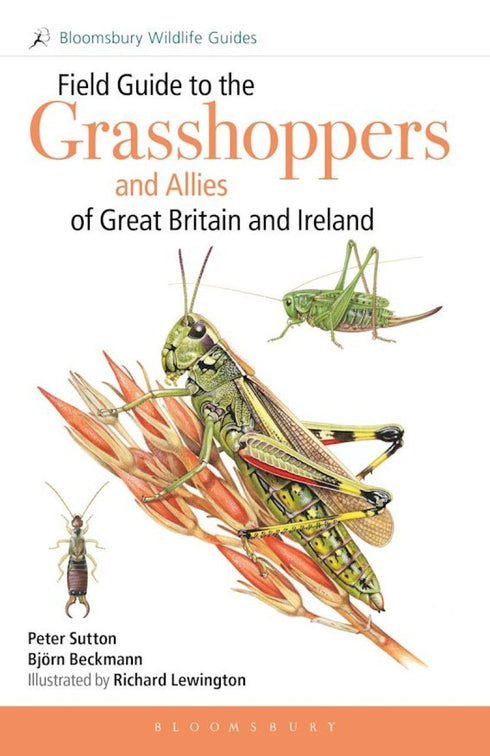 Field Guide to the Grasshoppers and Allies of Great Britain and Ireland - Sutton etc. 2026