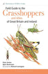 Field Guide to the Grasshoppers and Allies of Great Britain and Ireland - Sutton etc. 2026