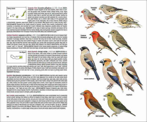 Field Guide to the Birds of Macaronesia: Azores, Madeira, Canary Islands, Cape Verde (Carcia-del-Rey)