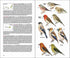 Field Guide to the Birds of Macaronesia: Azores, Madeira, Canary Islands, Cape Verde (Carcia-del-Rey)