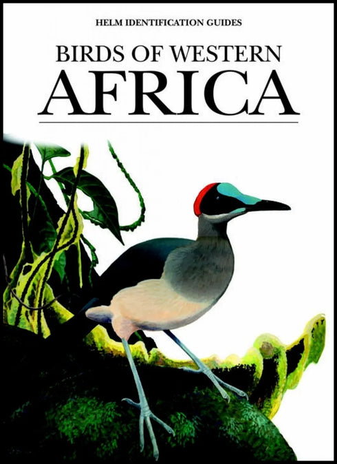 Birds of Western Africa - Borrow 2002