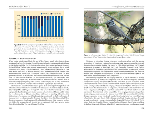 Marsh Tit and Willow Tit - Broughton 2024