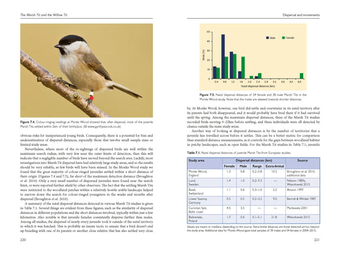 Marsh Tit and Willow Tit - Broughton 2024