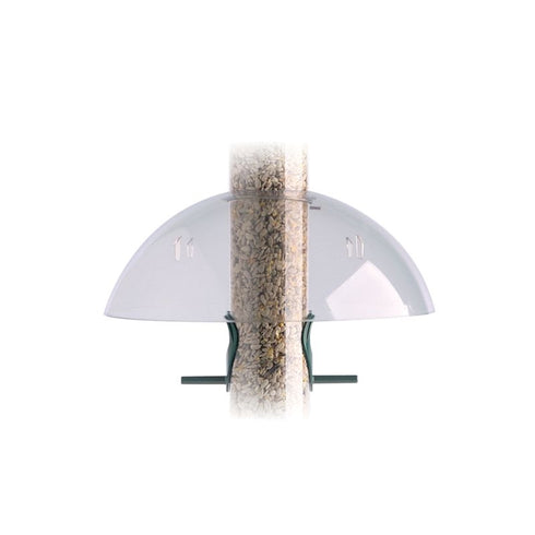 Droll Yankees Sadekupu Ring Pull automaattiin - Jacobi Jayne