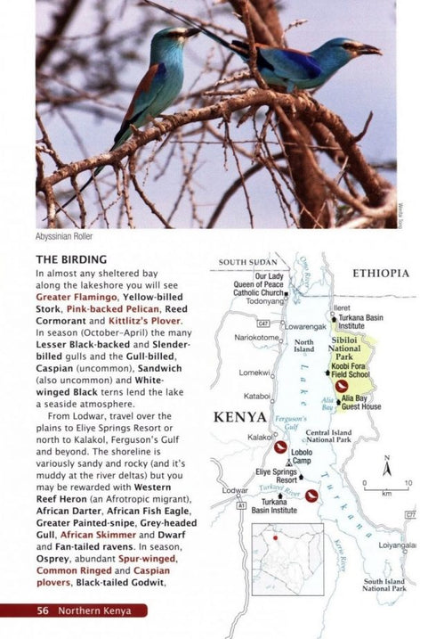 50 Top Birding Sites in Kenya, Ngarachu 2017