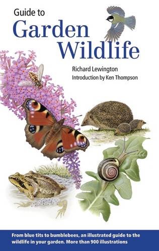 Guide to Garden Wildlife (Lewington, Thompson 2008)