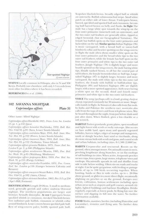 Nightjars - A Guide to Nightjars and Related Nightbirds - Cleere, N. 2000