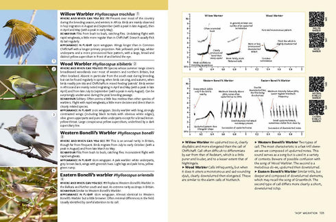Identifying Migratory Birds by Sound in Britain and Europe, Wroza, 2024 - Tunnista lintujen lento- ja kutsuäänet