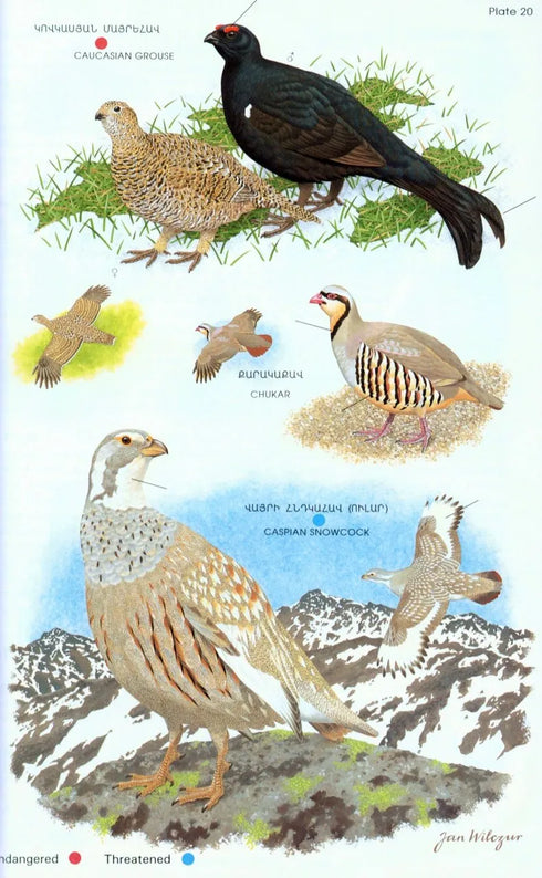 Field Guide to birds of Armenia - Martin S. Adamian 1997