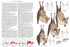 Mammals of Europe, North Africa and the Middle East - Stéphane Aulagnier ym. 2009