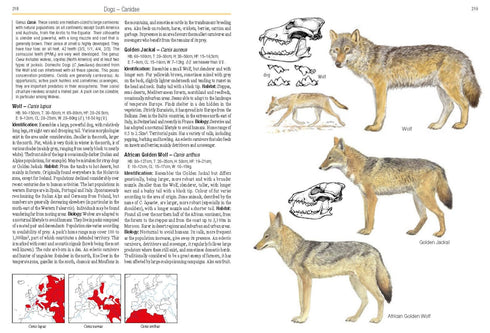 Mammals of Europe, North Africa and the Middle East - Stéphane Aulagnier ym. 2009
