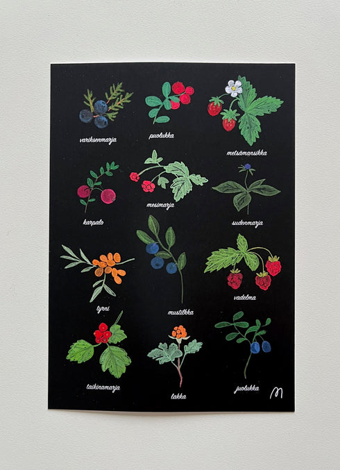 Postikortti, suomalaiset marjat - Minna Ristimäki