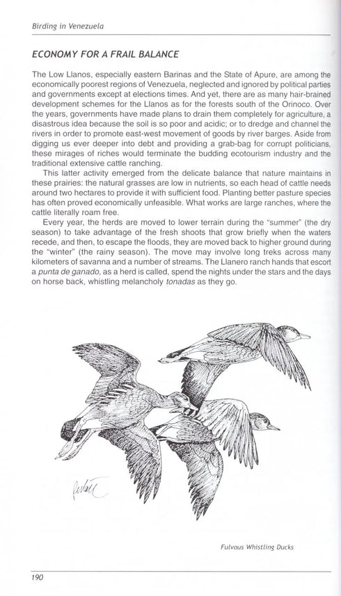 Birding in Venezuela - Mary Lou Goodwin 2003