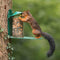 Oravan ruokinta - Green Metal Wild Squirrel Feeder -vain 1 kpl varastossa